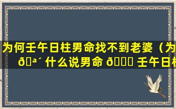 为何壬午日柱男命找不到老婆（为 🪴 什么说男命 🍀 壬午日柱是二等命）